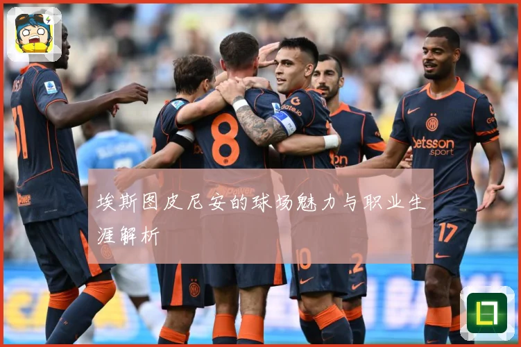 埃斯图皮尼安的球场魅力与职业生涯解析