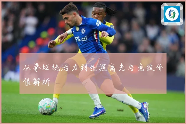 从拳坛统治力到生涯高光与竞技价值解析